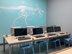 -斯坦星球AI编程·机器人科创·乐高科学·信奥·思维·专注力·STEM·竞赛考级(高新区绿宝广场龙湖狮山天街学习中心)