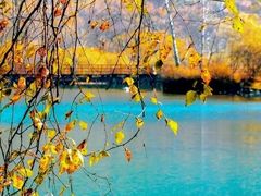 -叠溪松坪沟景区