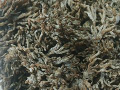 -畲乡一品鱼府土菜馆