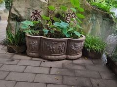 -千滋百味·醉江澜花园餐厅(街道口店)