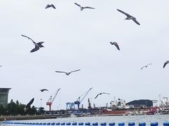-海驴岛(荣成市)