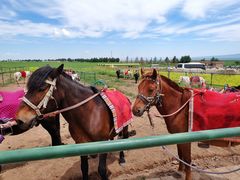 -扁都口生态休闲旅游区