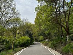 -南京老山国家森林公园