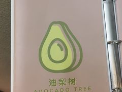-油梨树AVOCADO TREE(顺义新国展店)