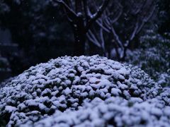 -上海交通大学医学院附属瑞金医院(总院)