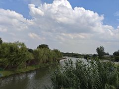 -江滩湿地公园