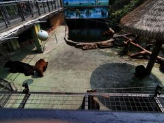 -深圳野生动物园