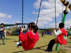 -上海长兴岛郊野公园