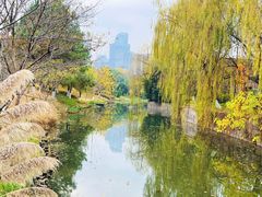 -绍兴镜湖国家城市湿地公园