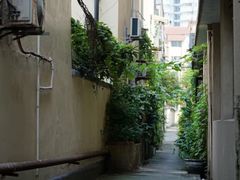 -嘉善老市