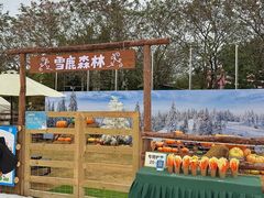 -盈香心动乐园