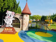 -东平国家森林公园