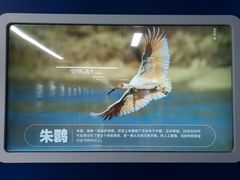 -取水楼(地铁站)
