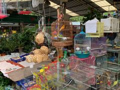 -曲阳花鸟市场(曲阳路店)