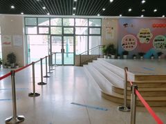 -上海市黄浦区卢湾第一中心小学