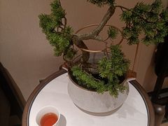 -高佳庄·海鲜酒楼(定海店)