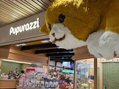 -帕帕拉兹宠物(亚洲旗舰店)