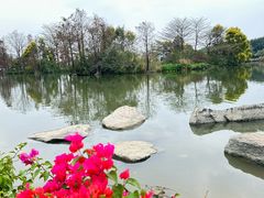 -海珠湖公园