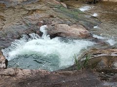 -广州白江湖森林公园