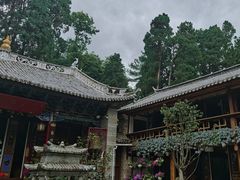 -寂照庵
