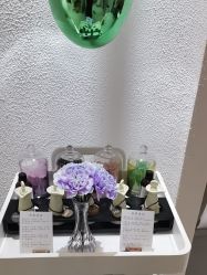 -薇薇安花系SPA