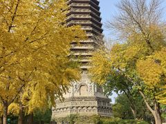 -玲珑塔公园