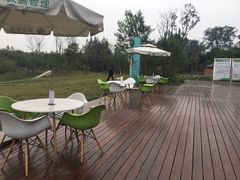 -桤木河湿地公园