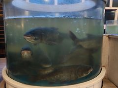-聚鑫阁江浙菜·非遗传承技艺(闵行交大店)