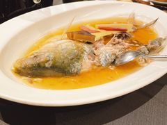 -望乡楼上海菜(日月光店)