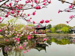 -无锡蠡湖国家湿地公园-蠡园