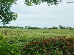 -南京市江宁方山