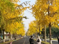 -四川大学(望江校区)