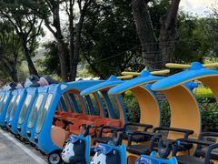 -东南花都花博园