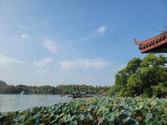 -湖畔居茶楼(湖滨店)