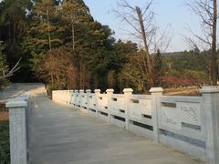 -南国桃园旅游度假区