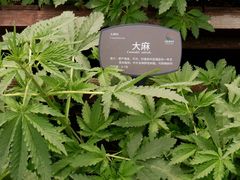 -国家植物园南园