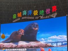 -泉城欧乐堡海洋极地世界