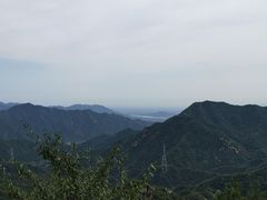 -大岭沟猕猴桃谷风景区