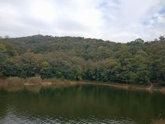 -紫金山山顶公园