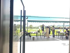 -七的湖·晚芳亭·阳澄湖农家菜·大闸蟹(莲花岛店)