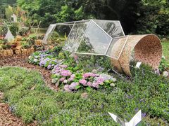 -深圳仙湖植物园