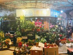 -溪岸路花鸟市场