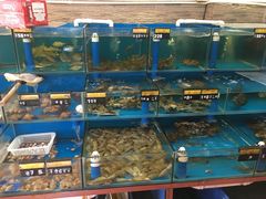 水产区-张家卫·阳江菜·小海鲜(肥婆湾桥店)