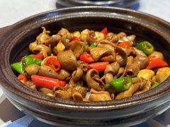 -新长福(世嘉店)