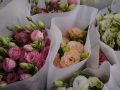 -秦美花卉(天朗·莱茵小城2期店)