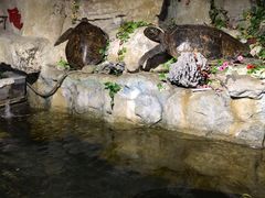 -珠海圆明新园