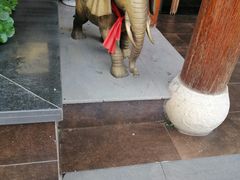 -碧露轩·大益茶体验馆(镇江路店)