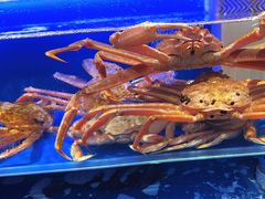 -同庆楼(天鹅酒家店)