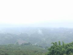 -观清澜疗愈民宿(龙泉山风景区店)