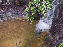 -雁荡山三折瀑景区